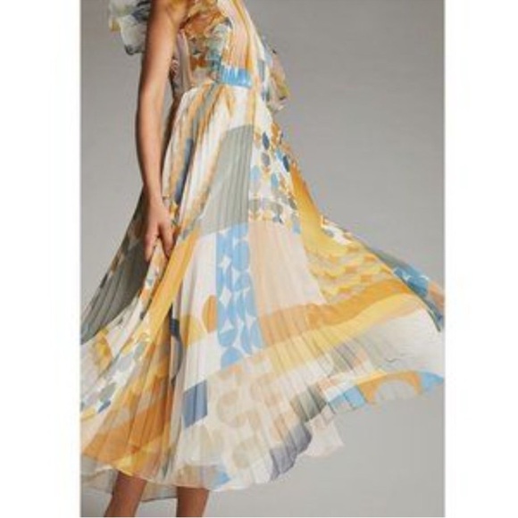 PANKAJ & NIDHI Norma Pleated Maxi Dress 4P - Picture 3 of 13